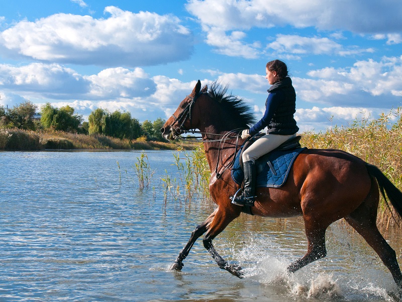 Администратор