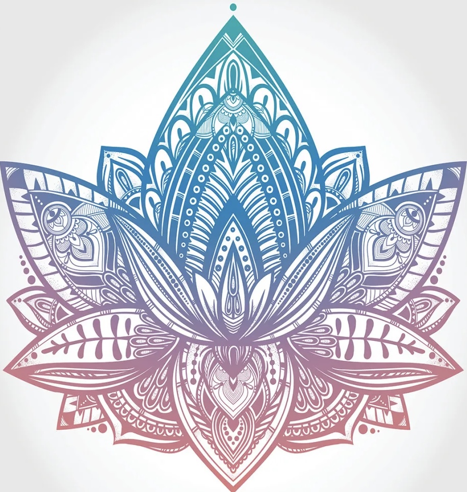 Абонемент 12 посещений