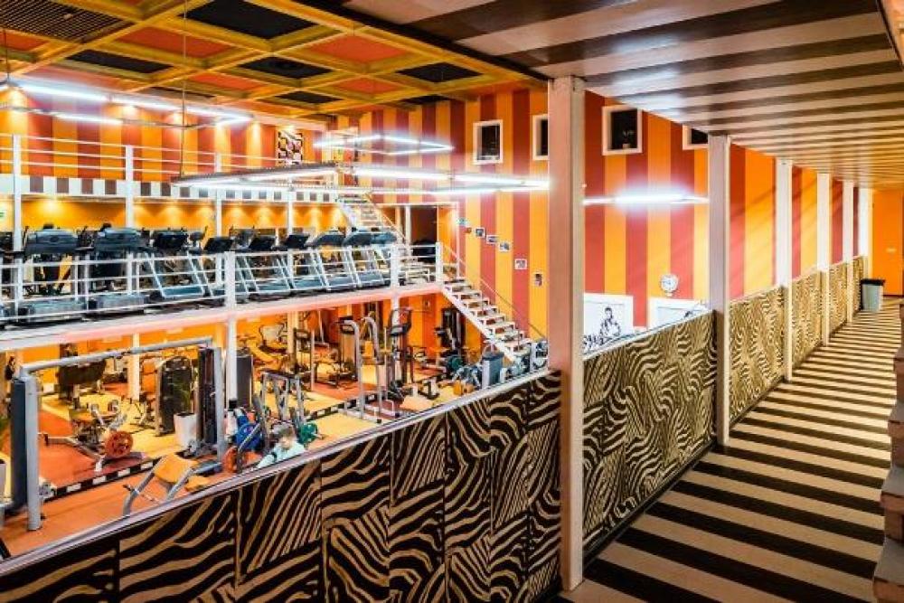 Зебра, м. Павелецкая