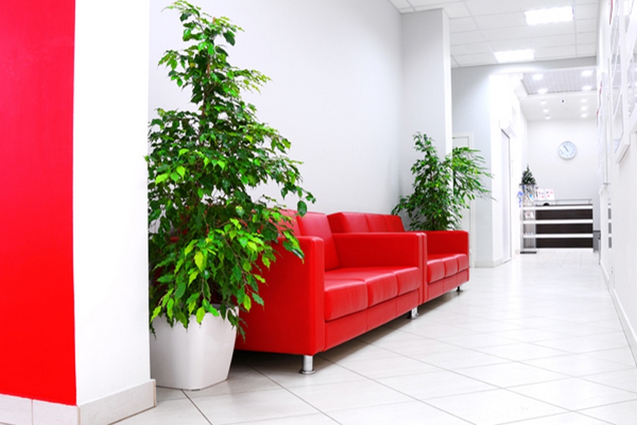 СпортЛэнд, м. Зябликово