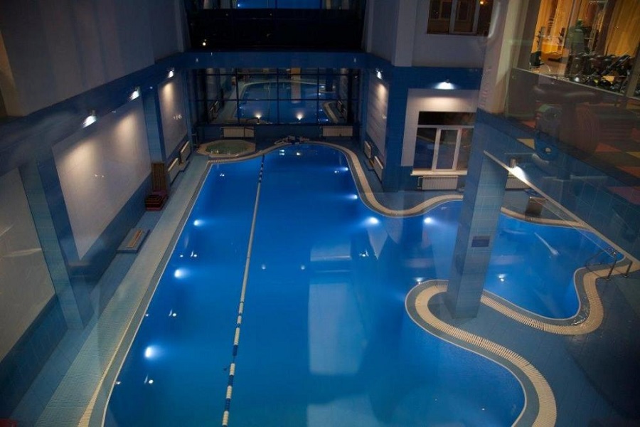 Зебра, г. Щёлково