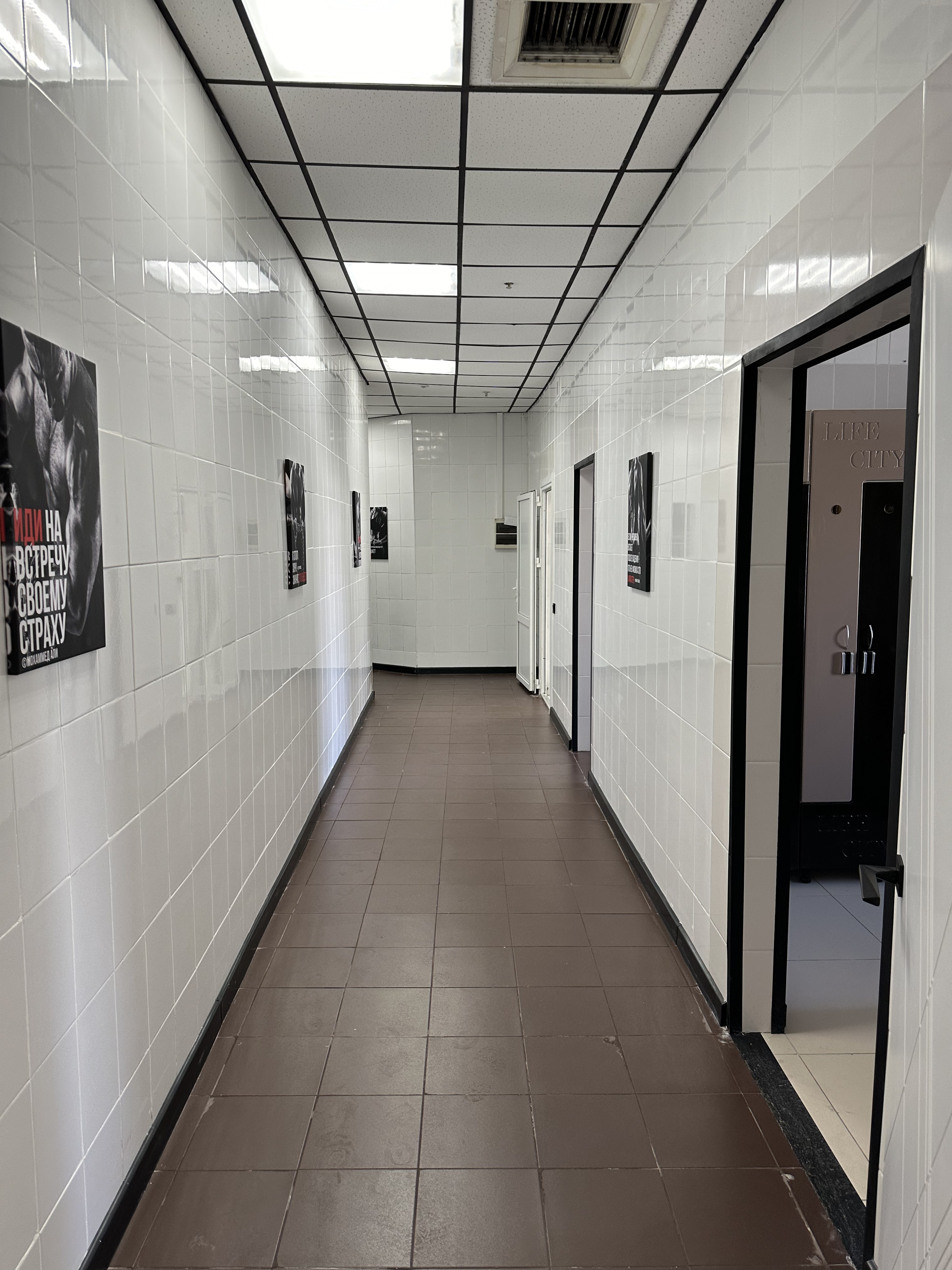 Re'форма MATRIX