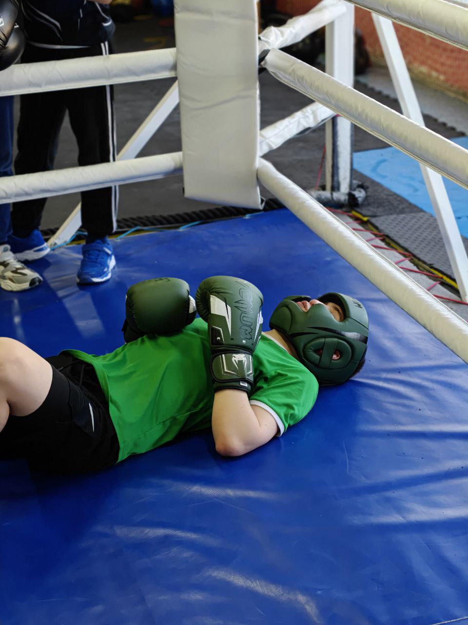 Философия Бокса