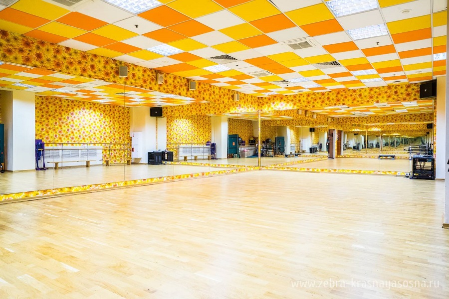 Зебра, м. Свиблово