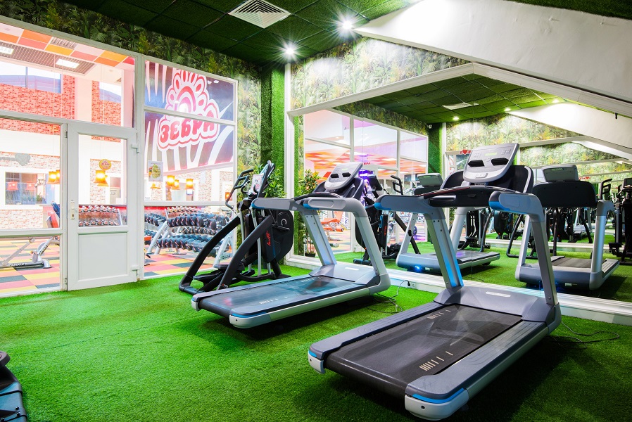 Зебра Алтуфьево