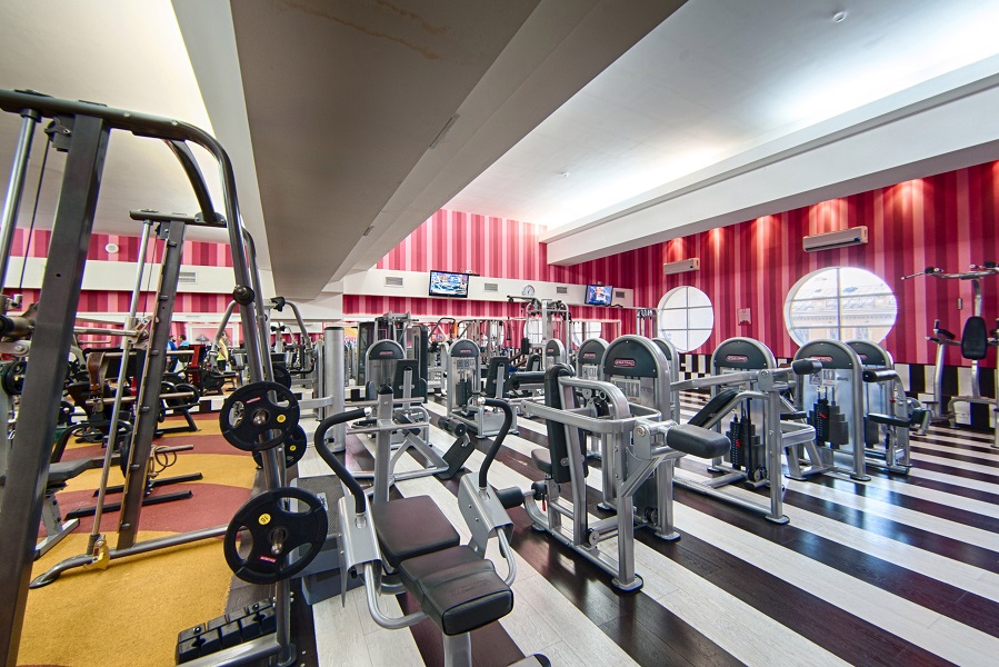 Зебра, м. Бауманская