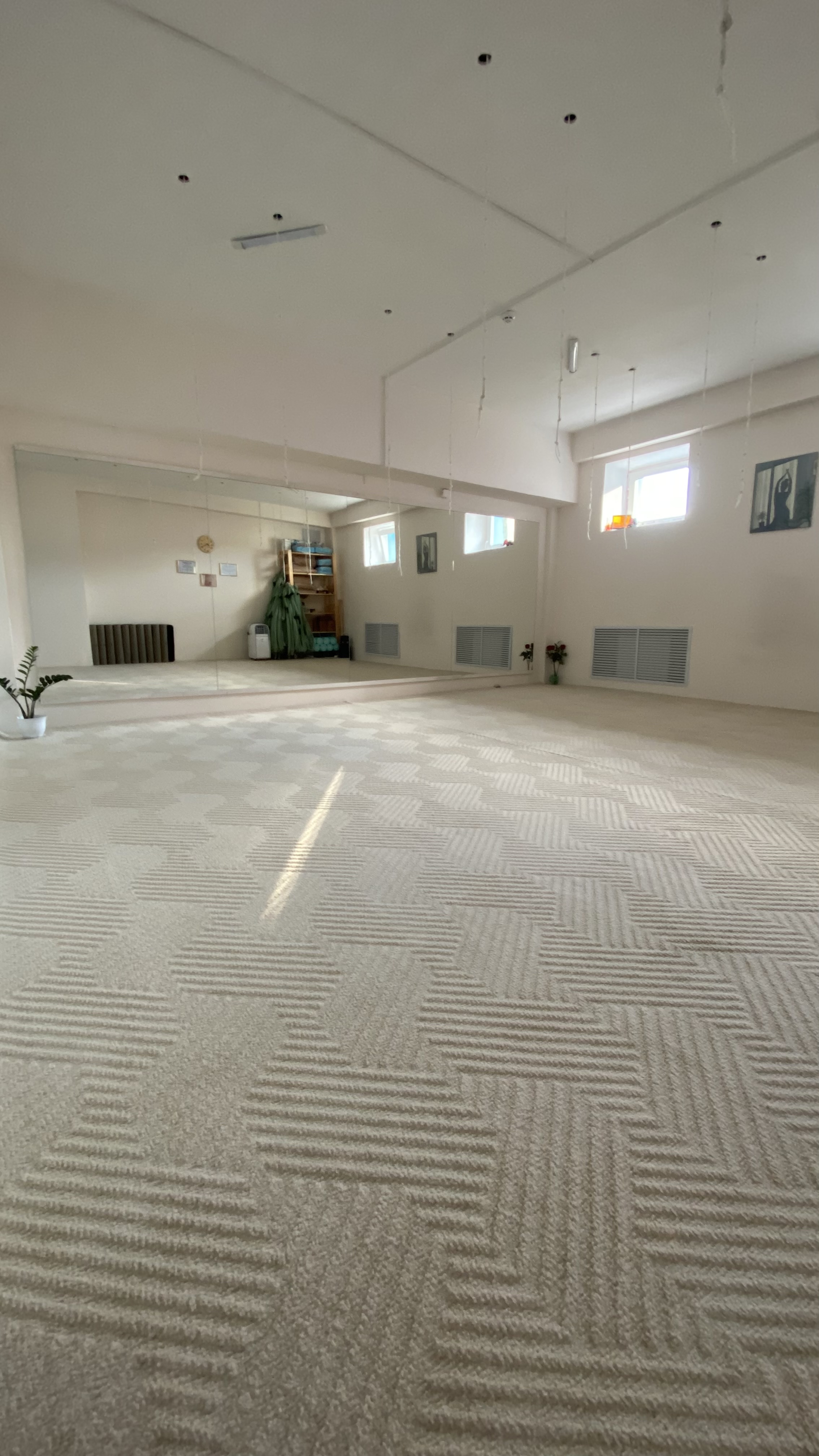 Студия йоги «Lotus»