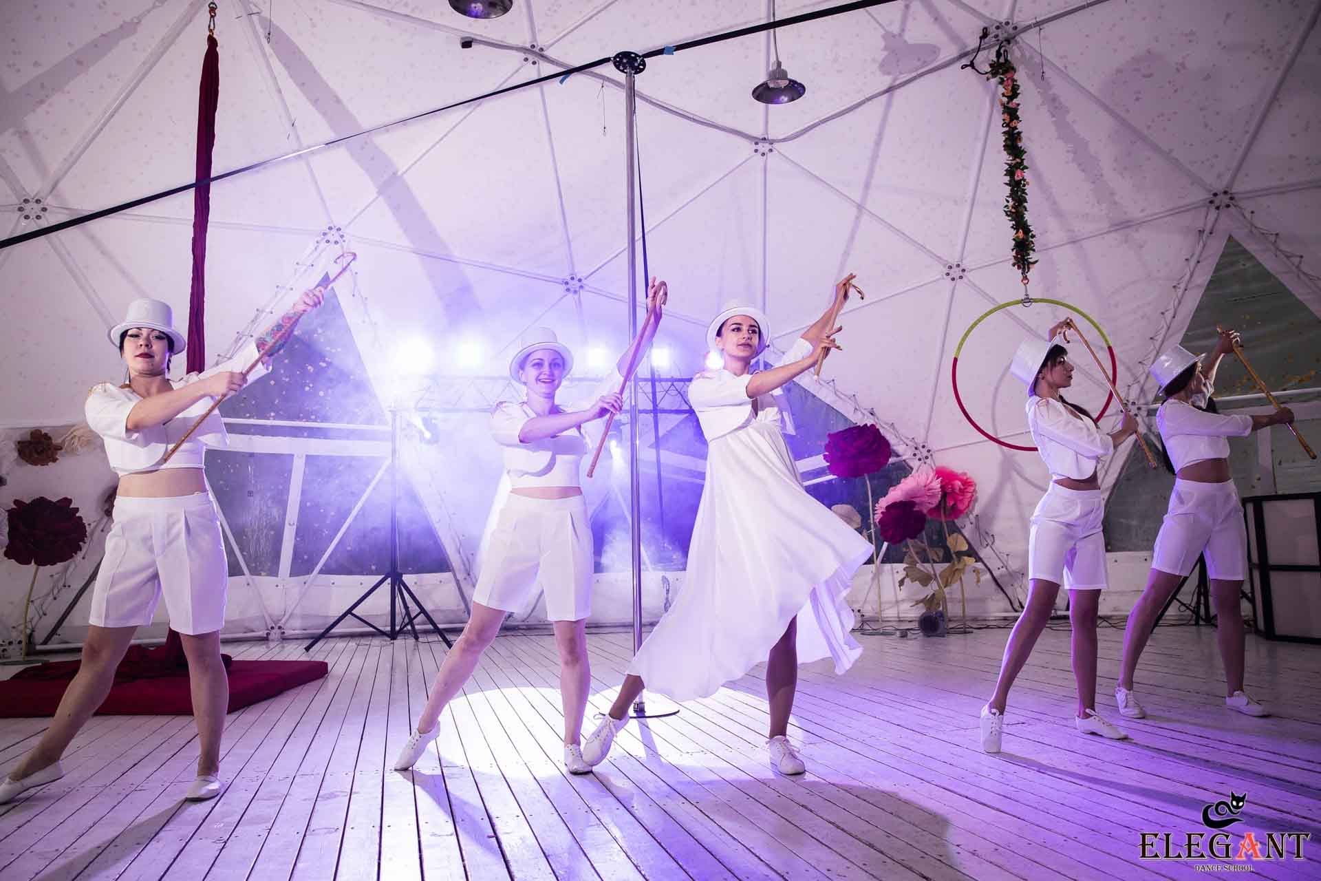 Elegant Pole Dance Kursk