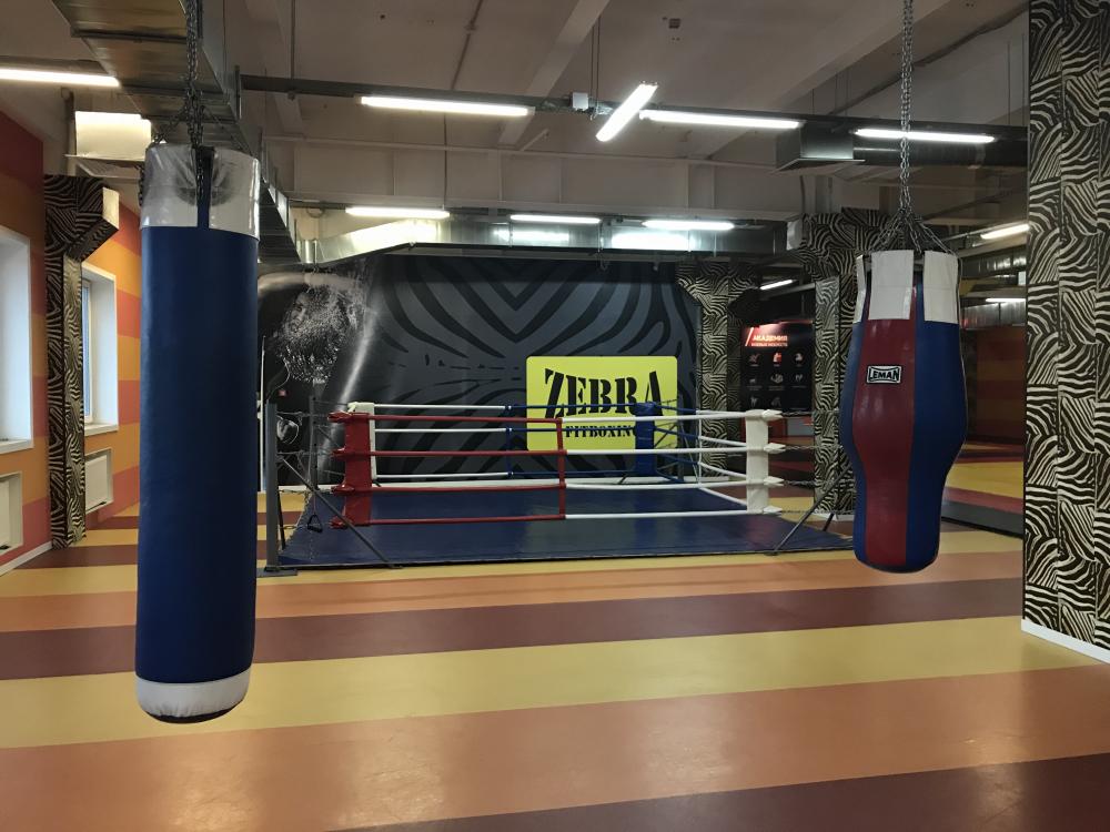 Зебра, м. Печатники