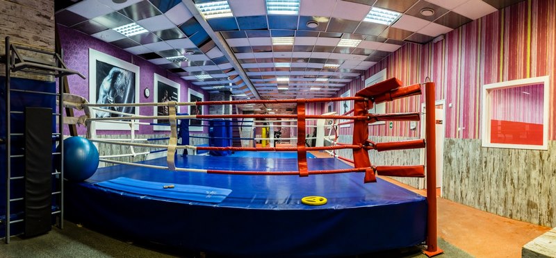 Фитнес практика Динамо