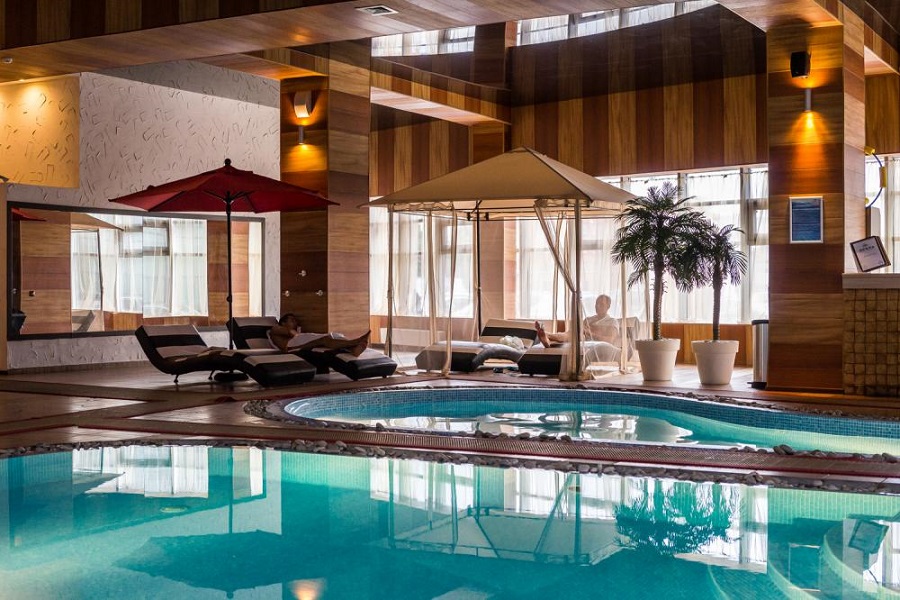 Зебра Олимпийский