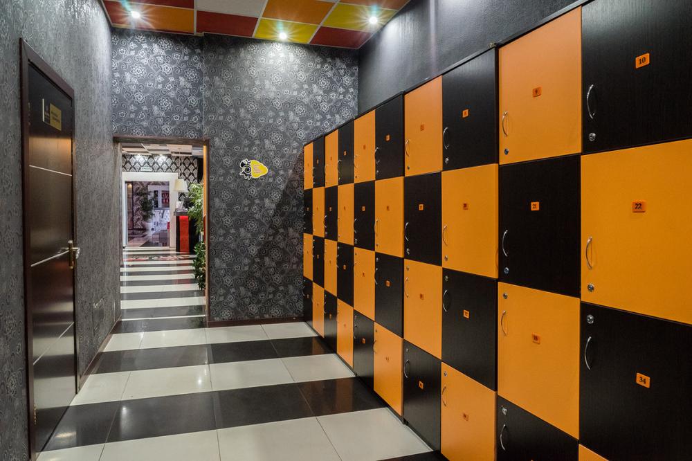 Зебра, м. Нижегородская