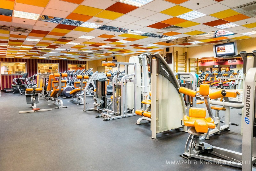 Зебра, м. Свиблово