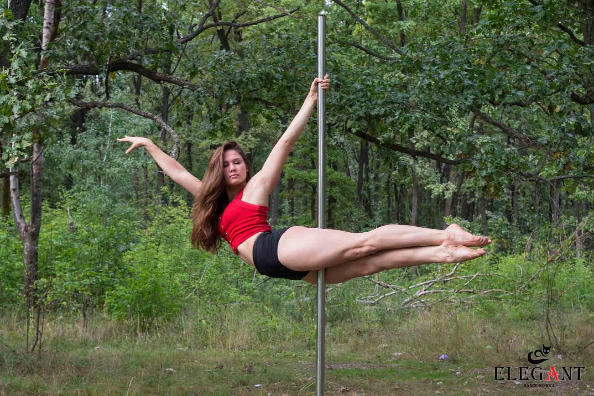 Elegant Pole Dance Kursk