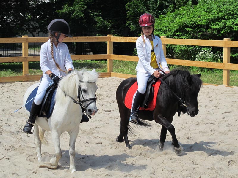 Администратор