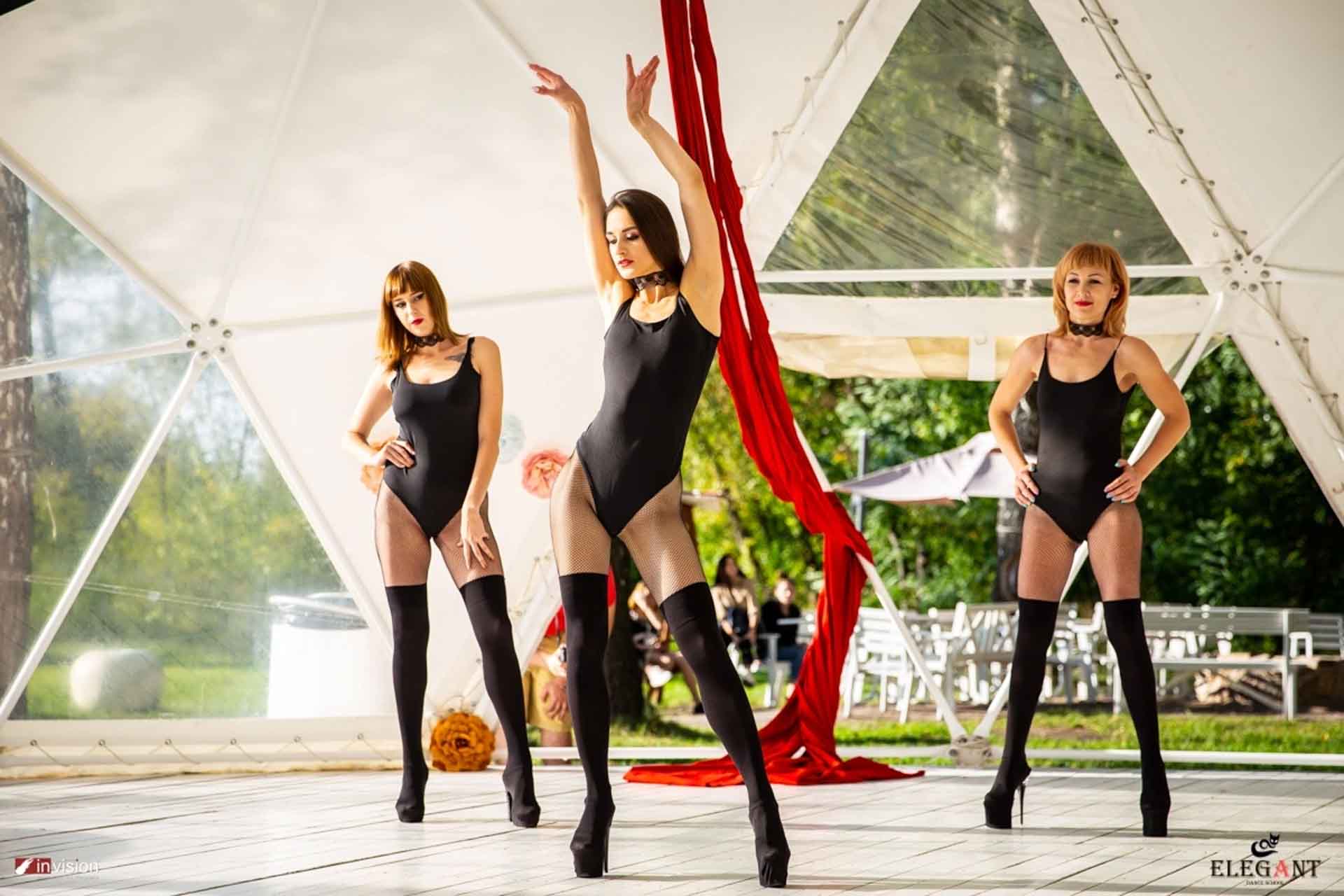 Elegant Pole Dance Kursk