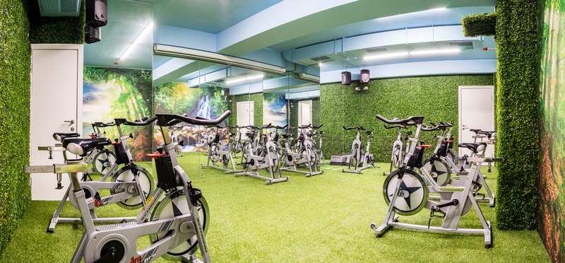 Фитнес практика Динамо