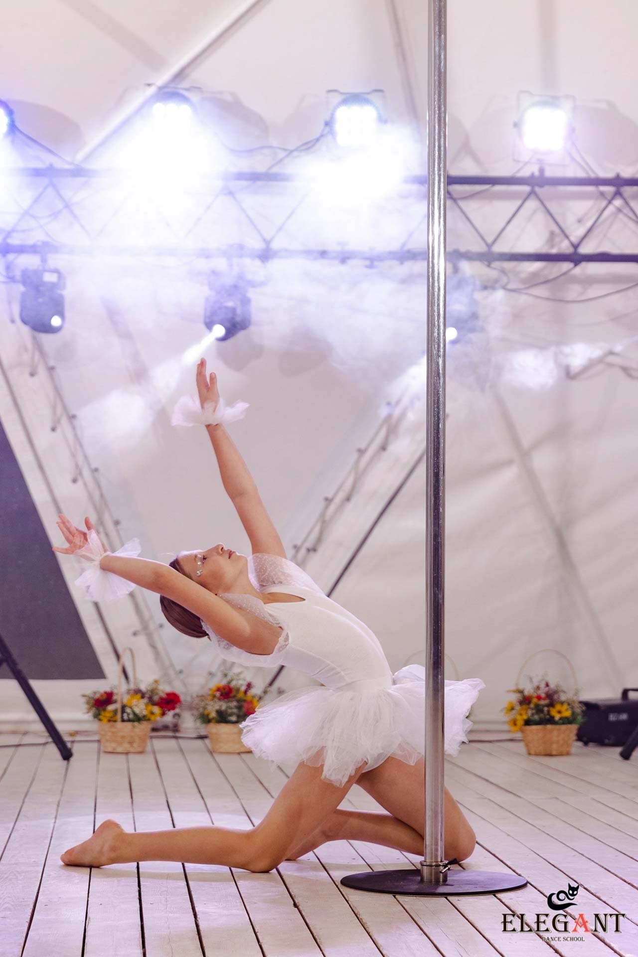 Elegant Pole Dance Kursk