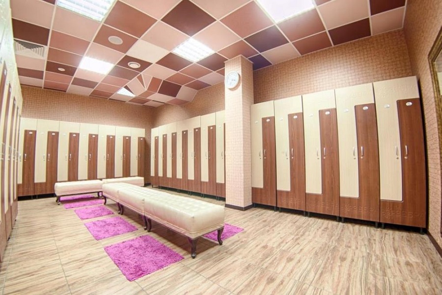 Зебра Олимпийский