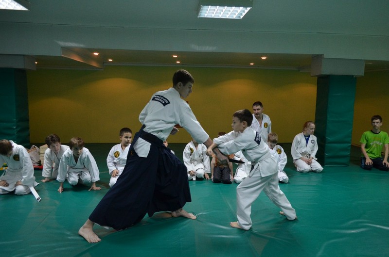 Всемирная федерация джиу-джитсу Новосибирск