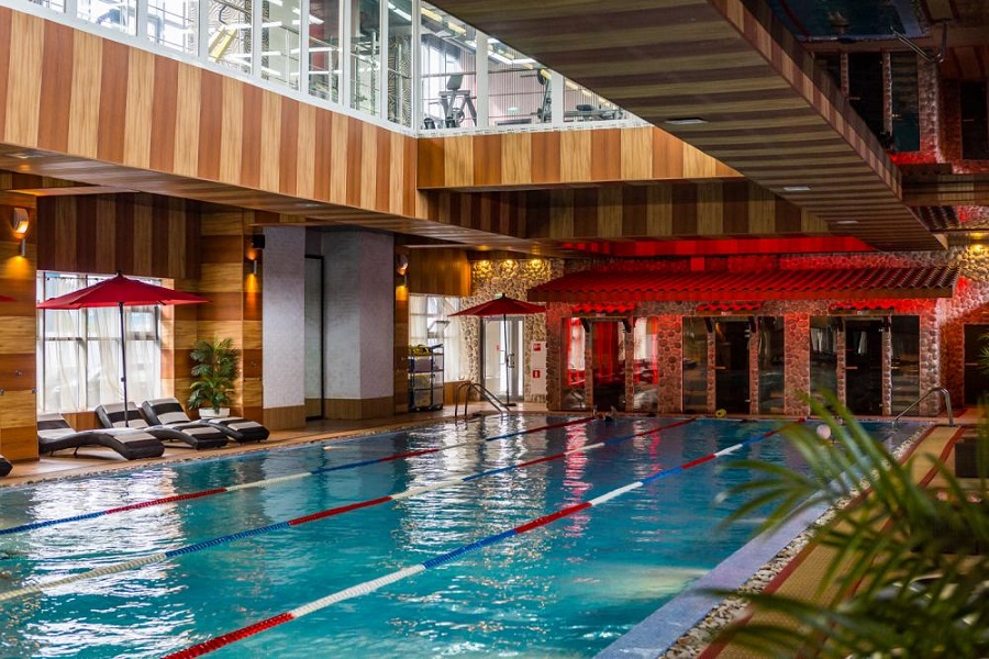 Зебра Олимпийский