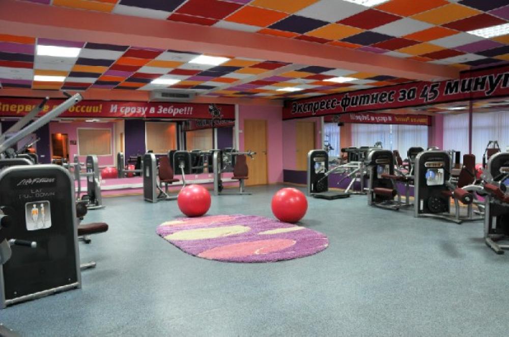 Зебра, м. Нижегородская