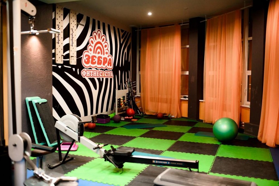 Зебра, г. Щёлково