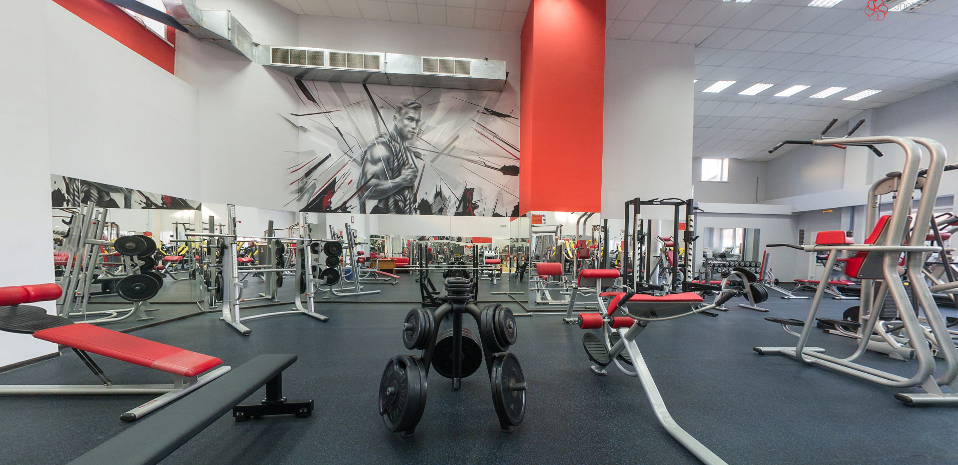 Европа, ул. Выборная