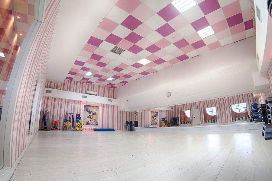 Зебра, м. Бауманская