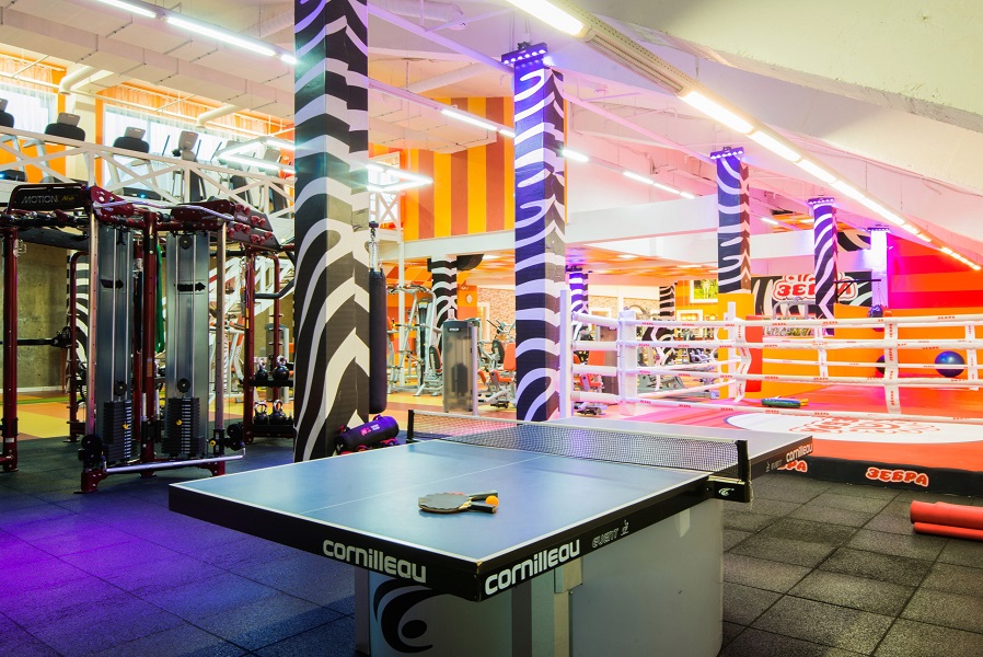 Зебра Алтуфьево