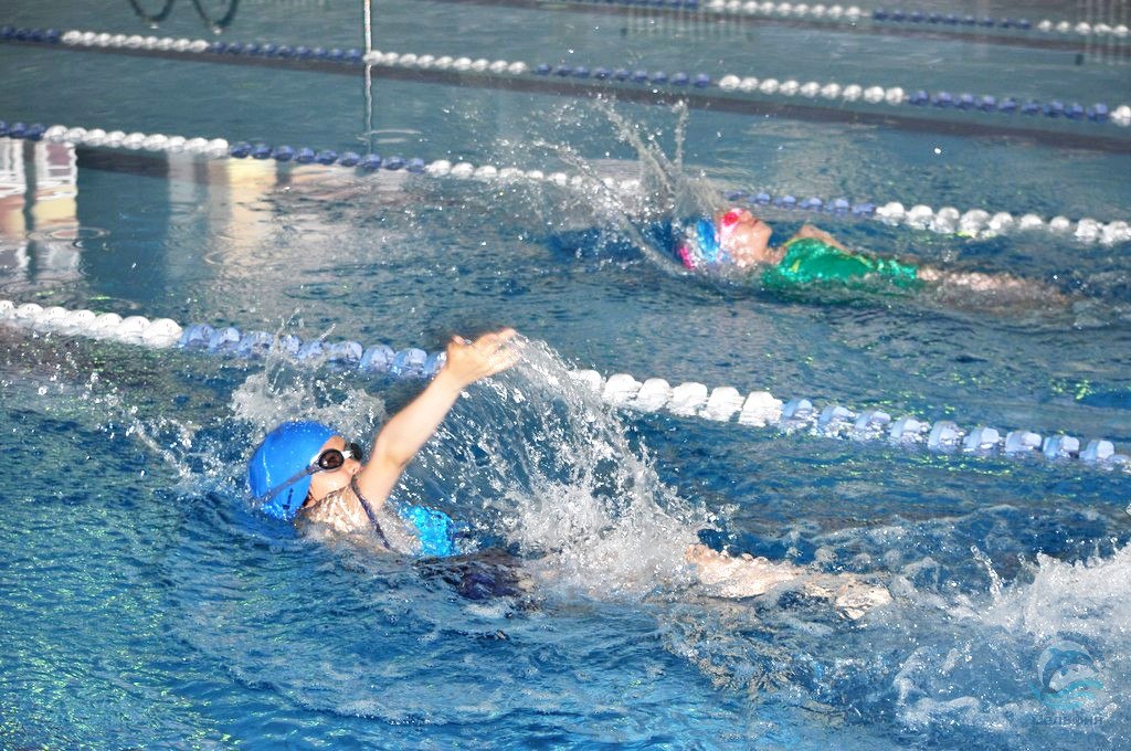 Дельфин, ул. Тюленина