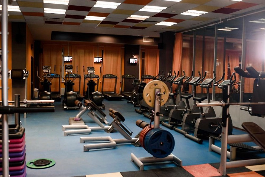 Зебра, г. Щёлково