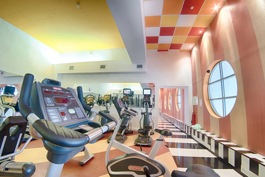 Зебра, м. Бауманская