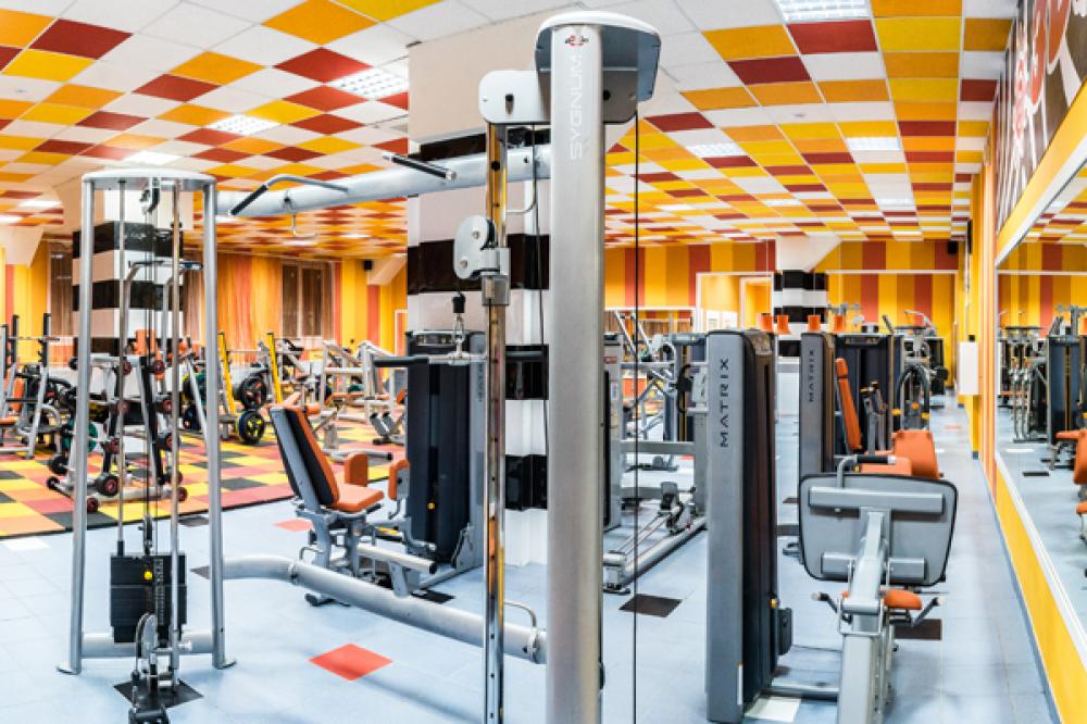 Зебра, м. Калужская