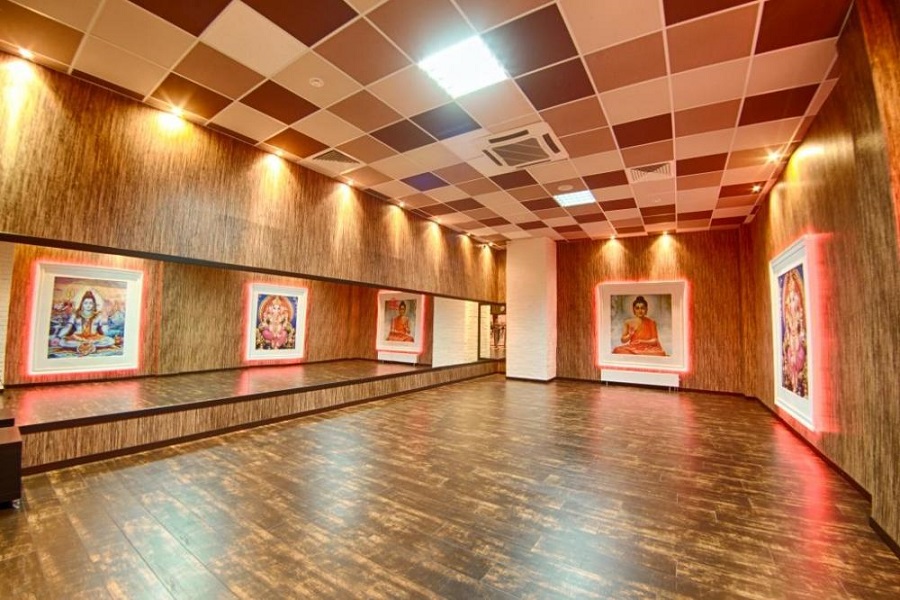 Зебра Олимпийский