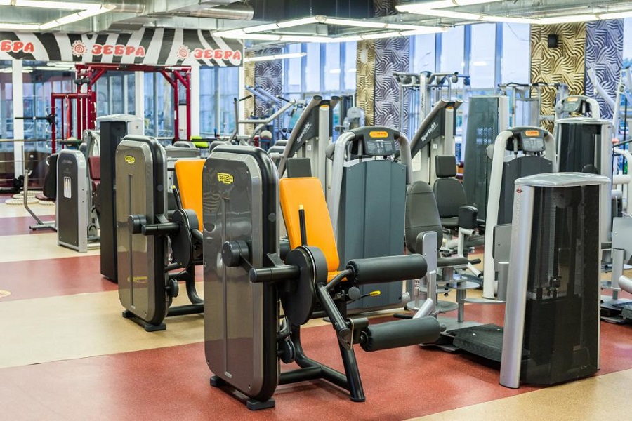 Зебра Олимпийский