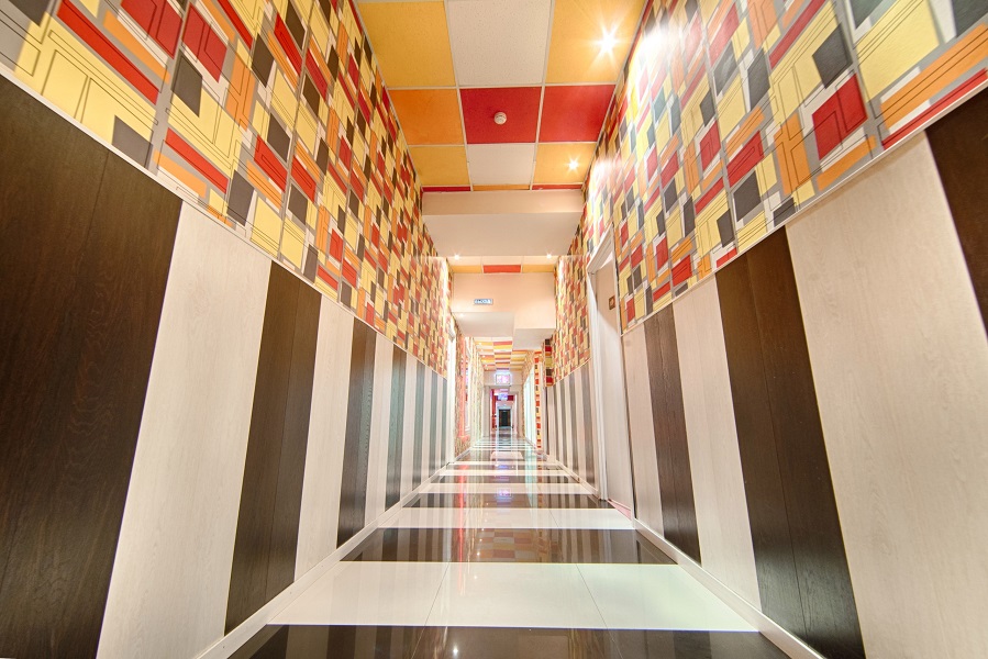 Зебра, м. Бауманская