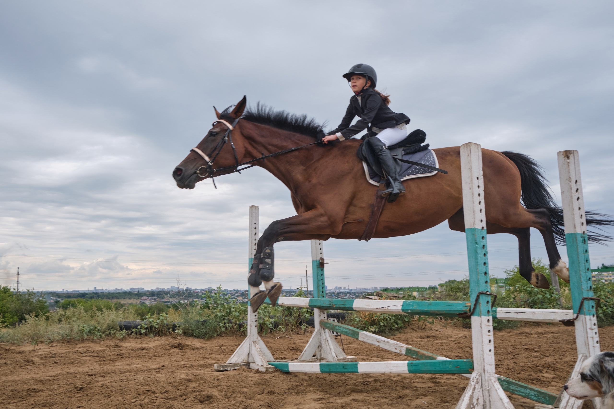 Конноспортивный клуб «Фаворит»