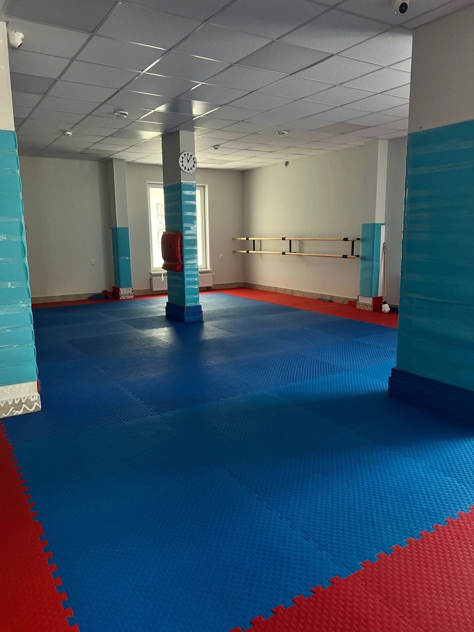 Нижегородская Школа боевых искусств «СЭНЭ»