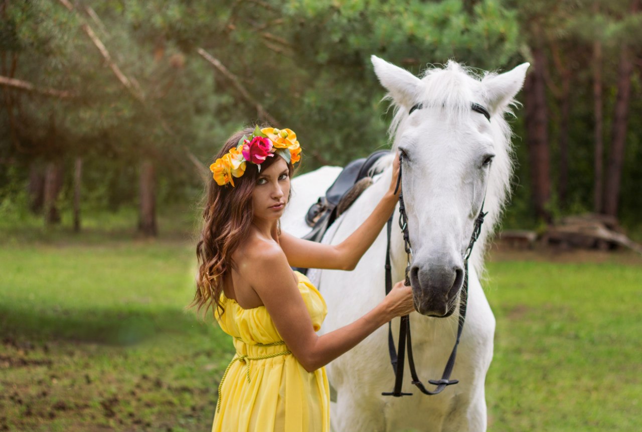 Аренда лошади для фотосессии