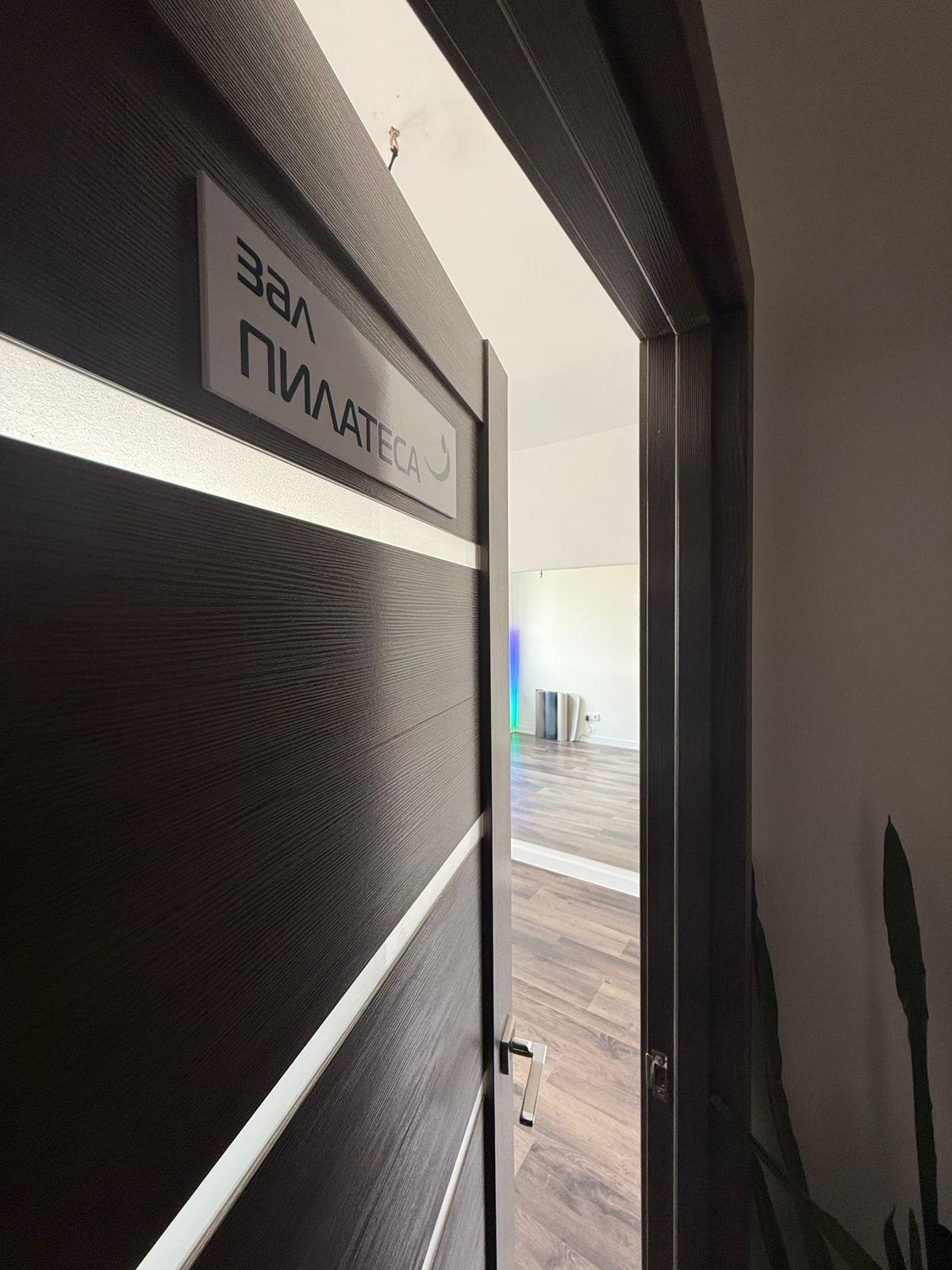 Студия аэройоги и пилатеса "Гамак"