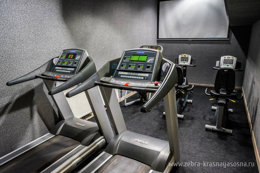 Зебра, м. Свиблово