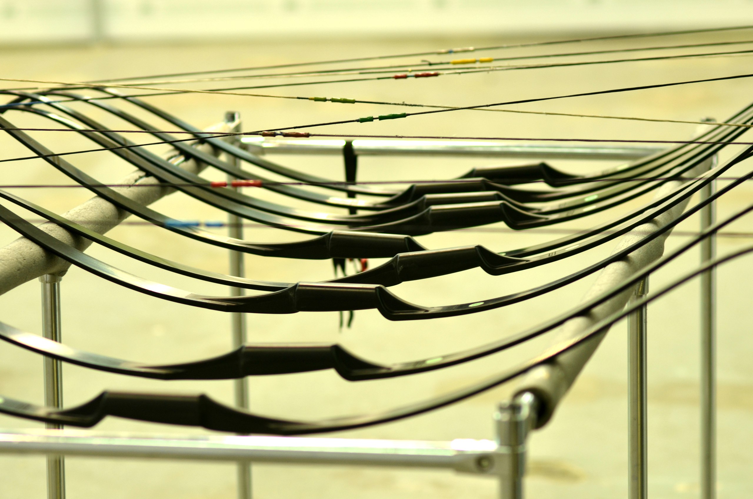 Варяг Запад, стрелковый клуб