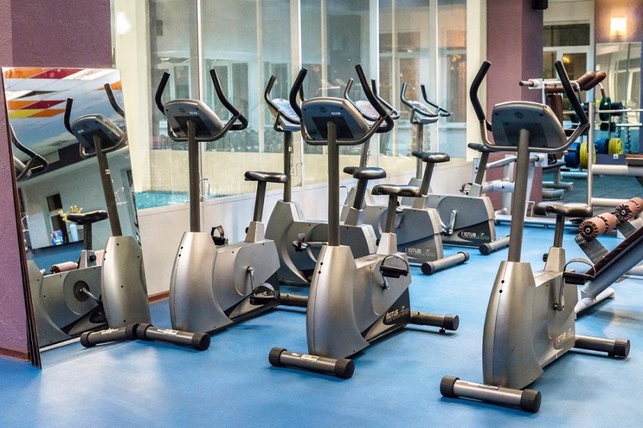 Зебра, г. Щёлково