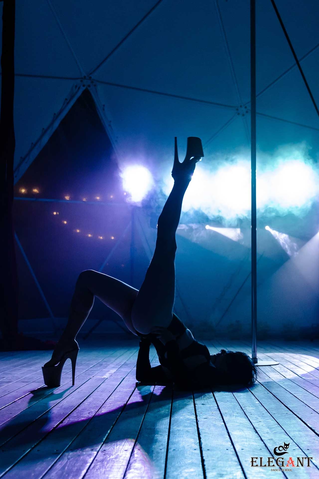 Elegant Pole Dance Kursk