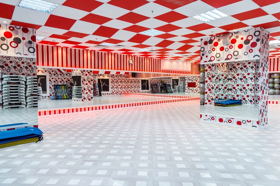 Зебра, м. Дубровка