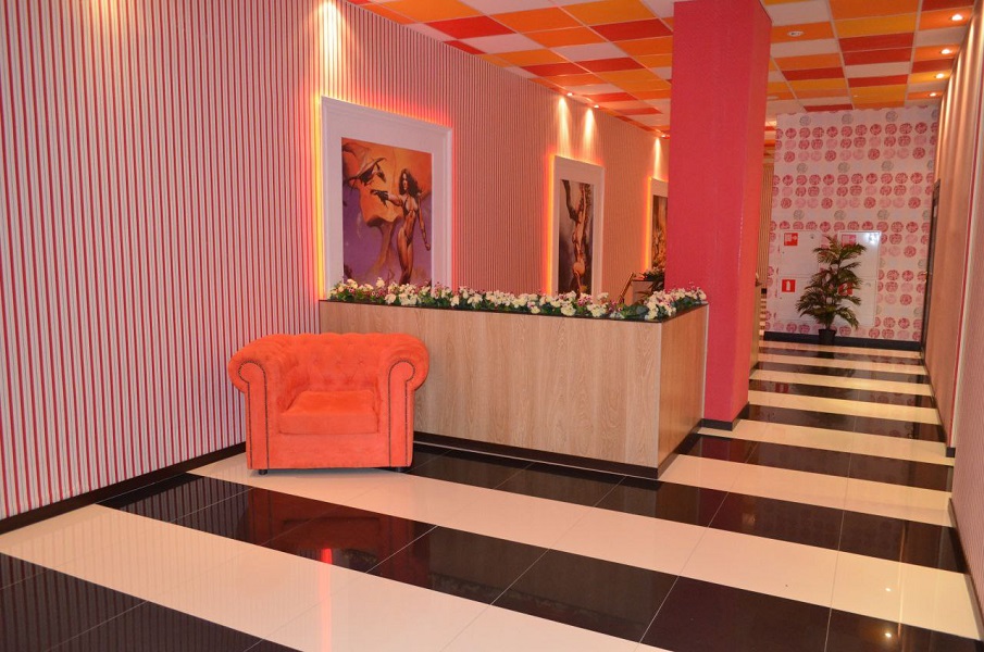 Зебра Олимпийский