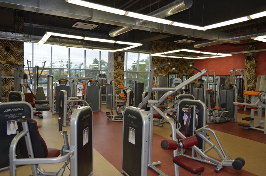 Зебра Олимпийский