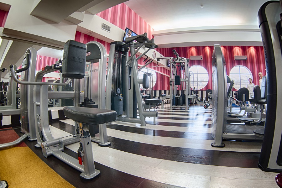 Зебра, м. Бауманская