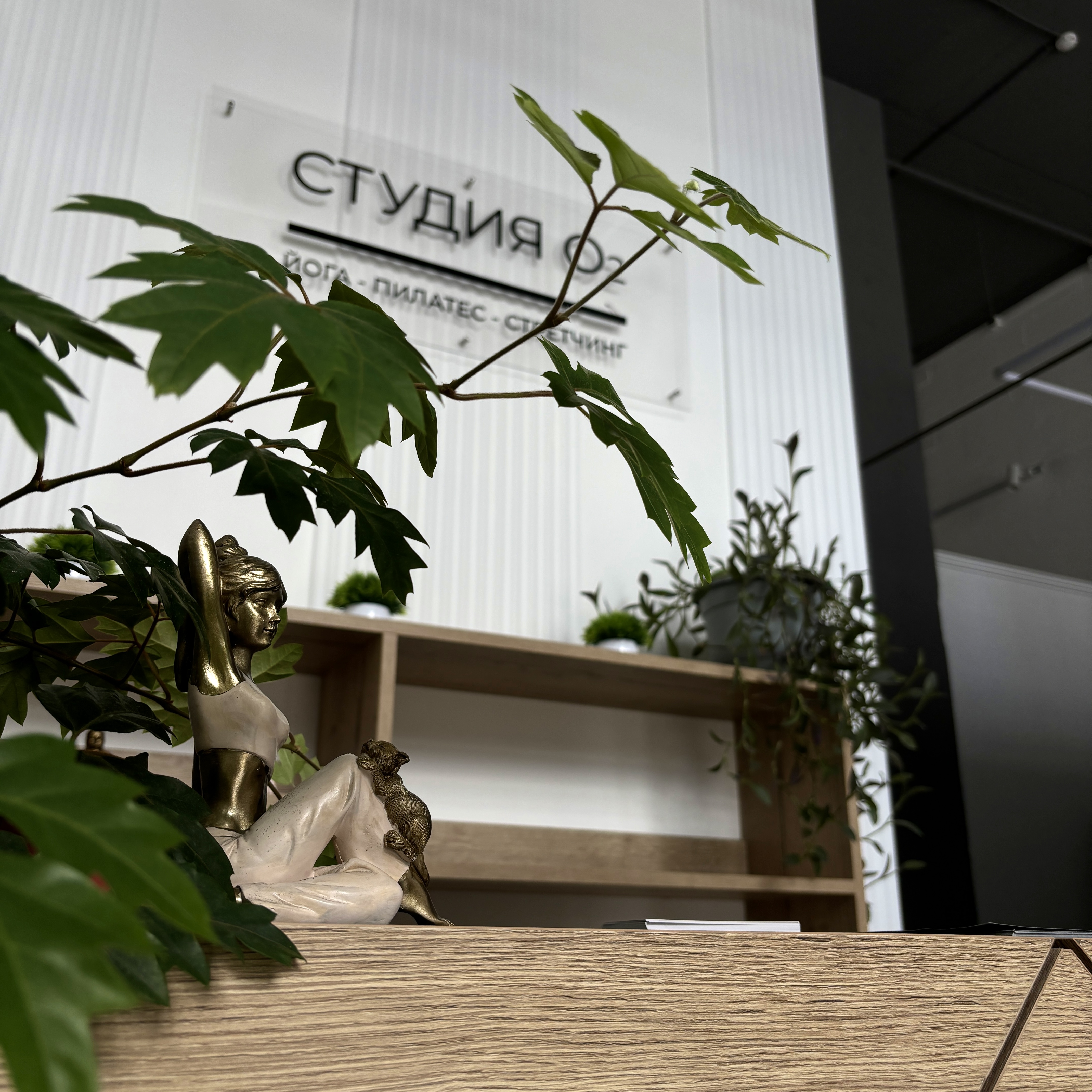 Студия йоги «Студия О2»